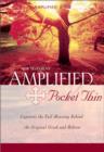 Image for Amplified Pocket-Thin New Testament