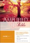 Image for Amplified Bible