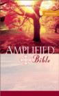 Image for Amplified Mass Market Bible, Paperback