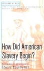 Image for How Did American Slavery Begin?