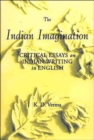 Image for The Indian Imagination : Critical Essays on Indian Writing in English