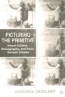 Image for Primitive pictures  : ethnography, colonialism, and early German cinema