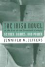 Image for The Irish Novel at the End of the Twentieth Century