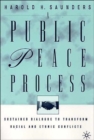 Image for A Public Peace Process