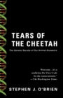 Image for Tears of the Cheetah