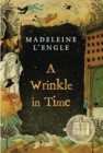 Image for Wrinkle in Time