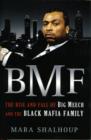 Image for BMF  : the rise and fall of Big Meech and the Black Mafia Family