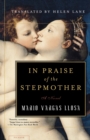 Image for In Praise of the Stepmother : A Novel