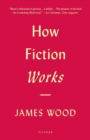 Image for How Fiction Works