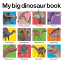 Image for My Big Dinosaur Book