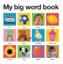 Image for My Big Word Book (casebound)