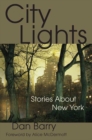 Image for City lights  : stories about New York