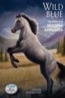 Image for Wild Blue : The Story of a Mustang Appaloosa