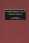 Image for Sexually aggressive youth: a guide to comprehensive residential treatment