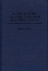 Image for Black youths, delinquency, and juvenile justice