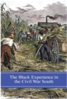 Image for The Black experience in the Civil War South