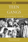 Image for Teen gangs: a global view