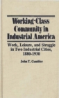 Image for Working-Class Community in Industrial America