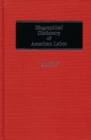 Image for Biographical Dictionary of American Labor