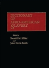 Image for Dictionary of Afro-American Slavery