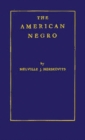 Image for The American Negro