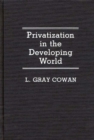 Image for Privatization in the Developing World