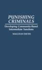 Image for Punishing Criminals : Developing Community-Based Intermediate Sanctions