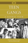Image for Teen gangs  : a global view