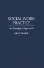 Image for Social work practice: an ecological approach