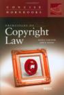 Image for Principles of Copyright Law