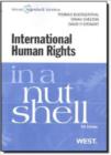 Image for International Human Rights in a Nutshell