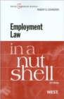 Image for Employment Law in a Nutshell