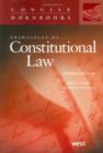 Image for Principles of Constitutional Law