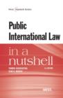 Image for Public International Law in a Nutshell