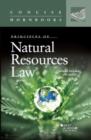 Image for Principles of Natural Resources Law