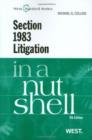 Image for Section 1983 Litigation in a Nutshell