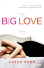 Image for The Big Love : A Novel