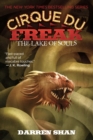Image for The Lake of Souls : Book 10 in the Saga of Darren Shan