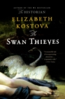 Image for The Swan Thieves : A Novel