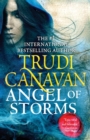 Image for Angel of Storms