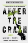 Image for After the Crash : A Novel