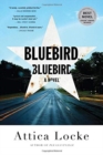 Image for Bluebird, Bluebird