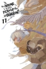 Image for Is It Wrong to Try to Pick Up Girls in a Dungeon?, Vol. 11 (light novel)