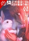 Image for Spice and Wolf, Vol. 14 (manga)