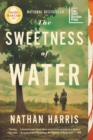 Image for The Sweetness of Water : A Novel