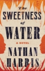 Image for The Sweetness of Water : A Novel