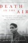 Image for Death in the air  : the true story of a serial killer, the great London smog, and the strangling of a city