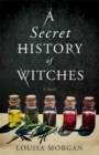 Image for A Secret History of Witches