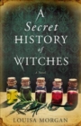 Image for A Secret History of Witches : A Novel