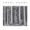 Image for Ansel Adams 2024 Engagement Calendar : Authorised Edition: 12-Month Nature Photography Collection (Weekly Calendar and Planner)